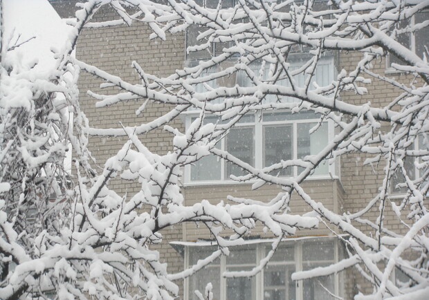 Лишь в конце января в Днепропетровск пришла зимняя сказка. Фото Евгении Лисицыной