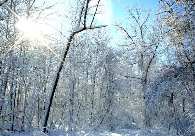 В Днепропетровске "пушкинская" зима. Фото с сайта liveinternet.ru