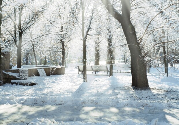 Сегодня на улице мороз, солнце и небольшой ветерок. Фото с сайта gdefon.ru