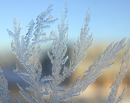 Если "снежные узоры" поднимаются вверх по стеклу, значит морозы продолжатся. Фото с сайта soneta.ru