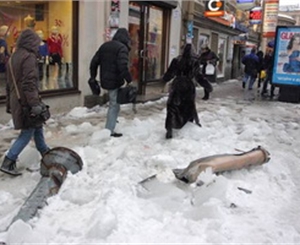 Нарушителей благоустройства будут наказывать. Фото с сайта zaks.ru
