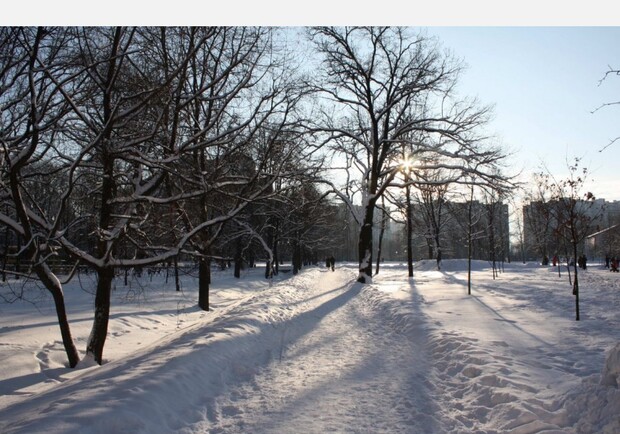 Сегодня будет солнечный и морозный день. Фото с сайта fototerra.ru