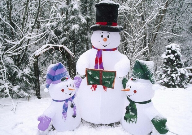 Наконец-то можно будет слепить снеговика. Фото с сайта newyearjpg.ru