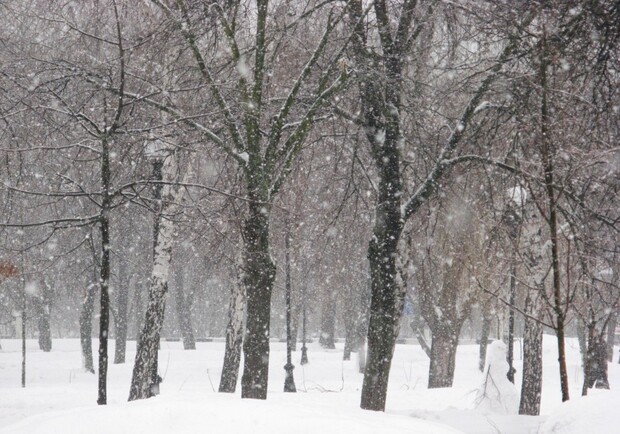 Весна принесла в Днепропетровск новый снег. Фото с сайта os1.i.ua