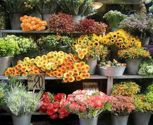 Цветы подорожают почти в 2 раза. Фото с сайта studyinchina.pk
