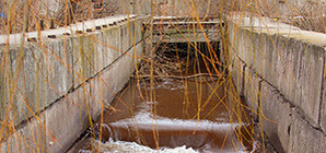 Фотофакт: в Днепропетровске ловят рыбу возле сточных вод