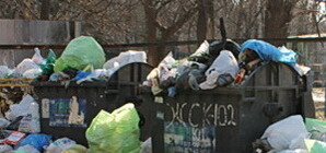 Мусорные войны: Жители Бабушкинского района утопают в отходах