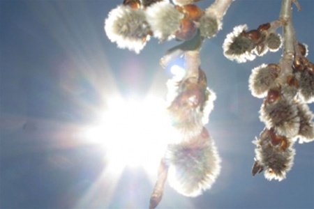 Весеннее солнышко вновь порадует нас своим теплом. Фото с сайта obozrevatel.com