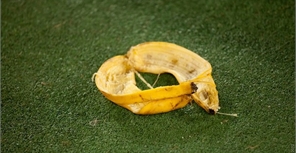 Банан для Шавьера? Фото ФК "Металлист"