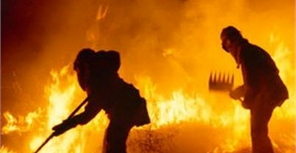 Уровень пожарной опасности в лесах повысился. Фото inarod.com
