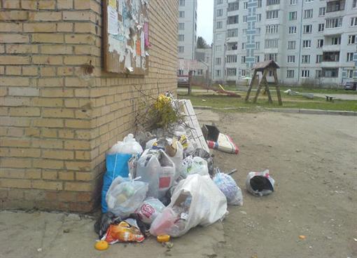 Прежде всего, если у вас пропал мусорный бак возле дома, обратитель в компанию, которая занимается вывозом мусора. Фото: young.rzd.ru
