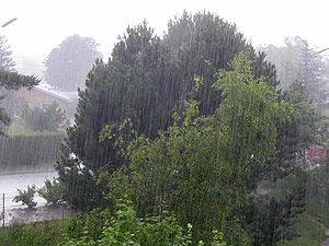 Дождь будет идти целый день. Фото: ru.wikipedia.org