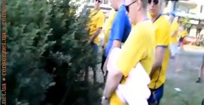 Милиция о нуждах в кустах: штрафовать будут всех без исключения