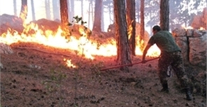 Больше всего стоит бояться лесных пожаров. Фото: kerch.com.ua.