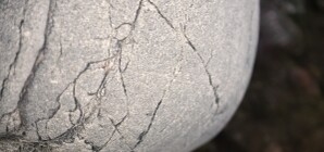 В Луганской области женщина убила подругу, которая раскритиковала ее прическу