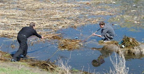 Пока не было выборов, люди убирали озеро сами. Фото: gorod.dp.ua