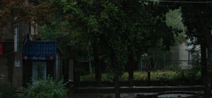 Запорожские коммунальщики отчитались о ликвидации аварийных деревьев