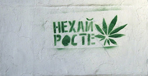Послание от неизвестного. Фото: desyateryk