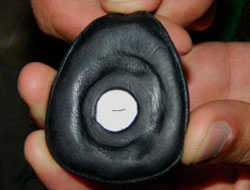 Запорожские мусульмане поклонились волосу Мухаммеда