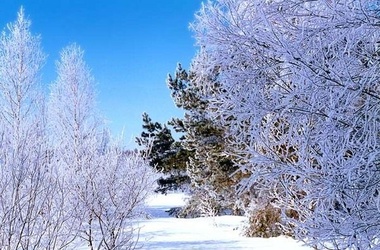 Погода на Новый год. Фото: forum-grad.ru
