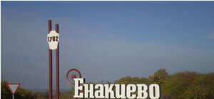 Родина Януковича без прикрас: жителей убивает металлургический завод