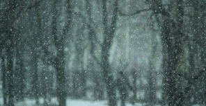 На вечер обещают снег. Фото: Денис Моторин