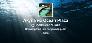 Акула из ТРЦ Ocean Plaza 