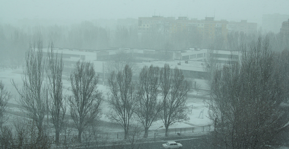 Снегопад на Левобережном. Фото: vgorode.ua