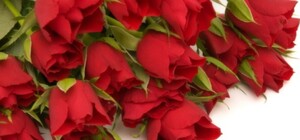 Поздравления с 8 марта: сколько стоит миллион алых роз