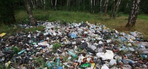 В столице пересчитали стихийные свалки
