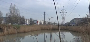 На Левобережном гибнет засыпанное мусором озеро