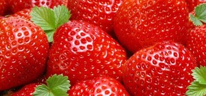 На рынках Киева появилась первая клубника