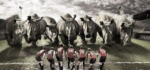 На стадионе 