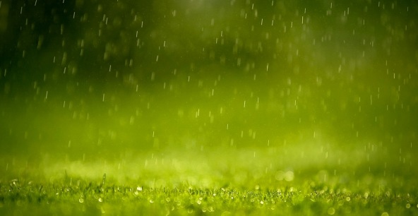 Возможен дождь. Фото: nature-melody.ru