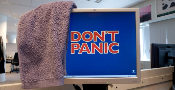 "Don’t panic" – девиз этого дня. Фото: f5.ru