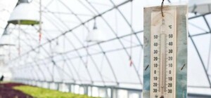 Голландцы хотят построить на Харьковщине свои теплицы