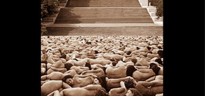 Режиссер из Днепра снимет массовое ню на Потемкинской лестнице в Одессе