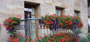 Конкурс в Донецке: устрой шикарный цветник на балконе и выиграй 5 тысяч гривен