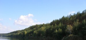 В Щурово от простого народа отгородили забором знаменитые Голубые озера