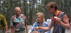 Крымские леса закрыли из-за местных любителей шашлычков