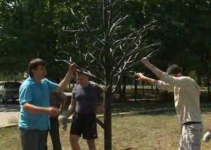 У Дерева желаний собираются жители Победы. Фото с сайта gorod.dp.ua