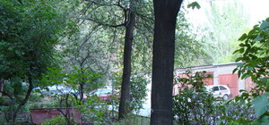 Проблемы запорожского двора: вонь, побитый асфальт и опасные люки