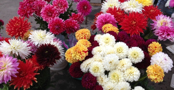 Цветы сегодня – самый ходовой товар. Фото: Vgorode.ua