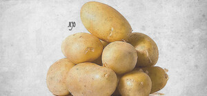 Лайфхак от Vgorode: как выбрать картошку на зиму