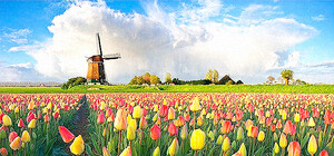 Дончан зовут в квартал Красных фонарей и на ароматный голландский кофе