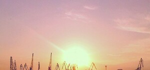 Что обсуждают в соцсетях: невеста в McDonald’s, креветки на колесах и бизнес дворников на Дерибасовской