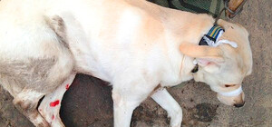 Возле метро 