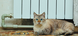 В Днепропетровске дети мерзнут в садиках, а пациенты – в больницах