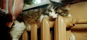 В Днепропетровской области начался отопительный сезон