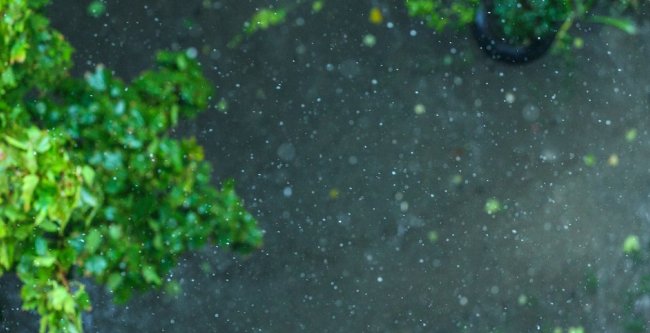 Обещают дождь с мокрым снегом. Фото: Денис Моторин